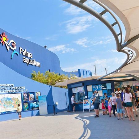 Villa Els Pins El Arenal  Ngoại thất bức ảnh