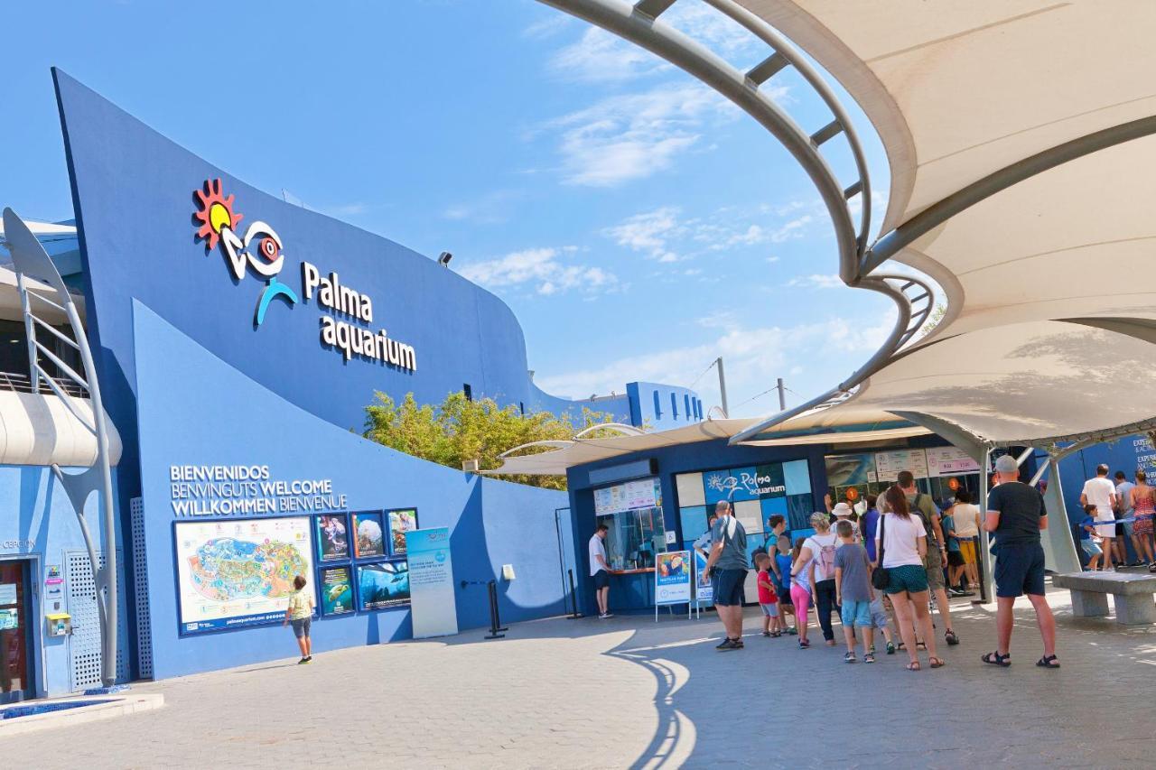 Villa Els Pins El Arenal  Ngoại thất bức ảnh